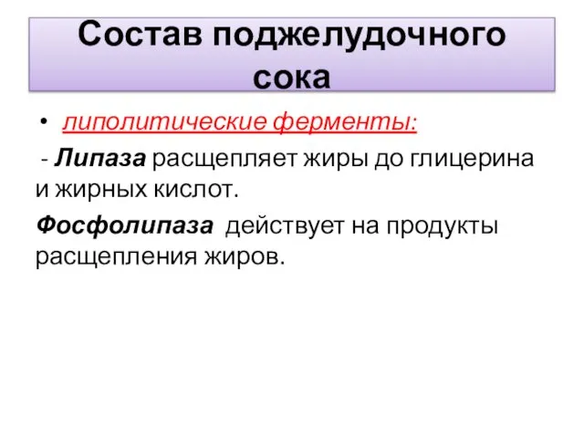 Состав поджелудочного сока липолитические ферменты: - Липаза расщепляет жиры до глицерина