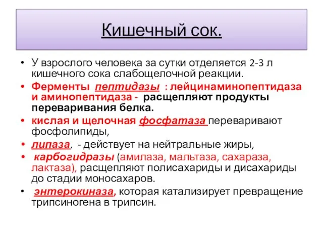 Кишечный сок. У взрослого человека за сутки отделяется 2-3 л кишечного