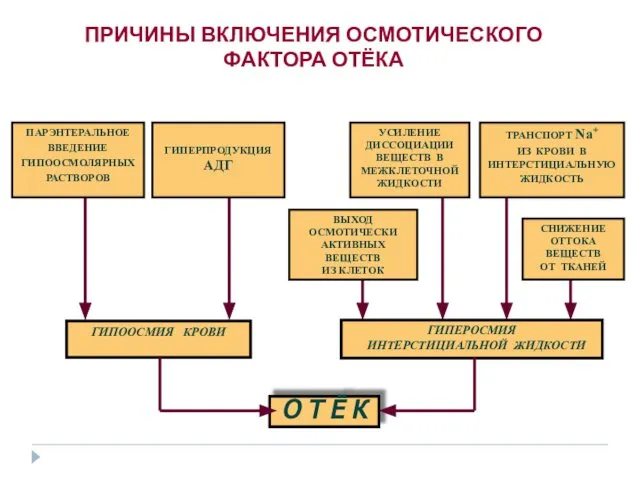 ПРИЧИНЫ ВКЛЮЧЕНИЯ ОСМОТИЧЕСКОГО ФАКТОРА ОТЁКА