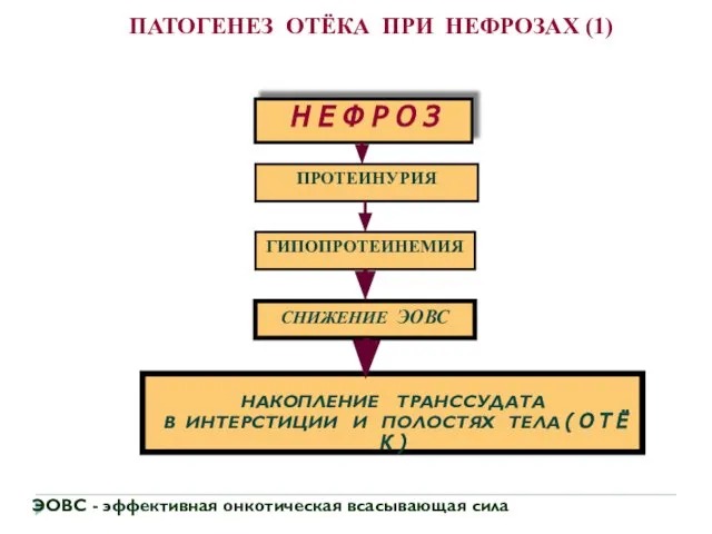 ЭОВС - эффективная онкотическая всасывающая сила