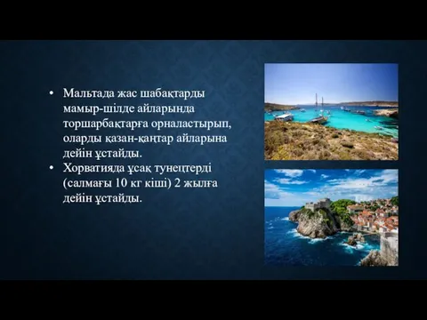 Мальтада жас шабақтарды мамыр-шілде айларында торшарбақтарға орналастырып, оларды қазан-қаңтар айларына дейін