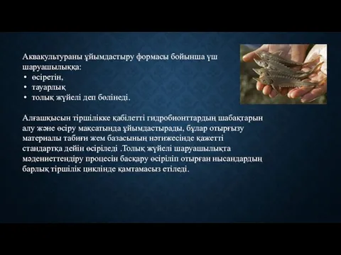 Аквакультураны ұйымдастыру формасы бойынша үш шаруашылыққа: өсіретін, тауарлық толық жүйелі деп