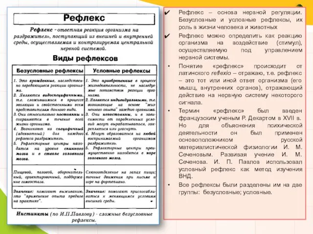 Рефлекс – основа нервной регуляции. Безусловные и условные рефлексы, их роль