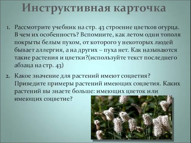 Инструктивная карточка Рассмотрите учебник на стр. 43 строение цветков огурца. В