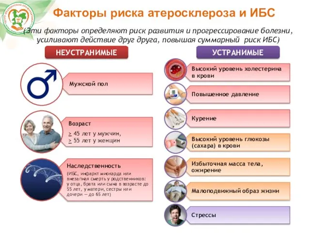 Факторы риска атеросклероза и ИБС (Эти факторы определяют риск развития и