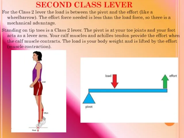 SECOND CLASS LEVER For the Class 2 lever the load is