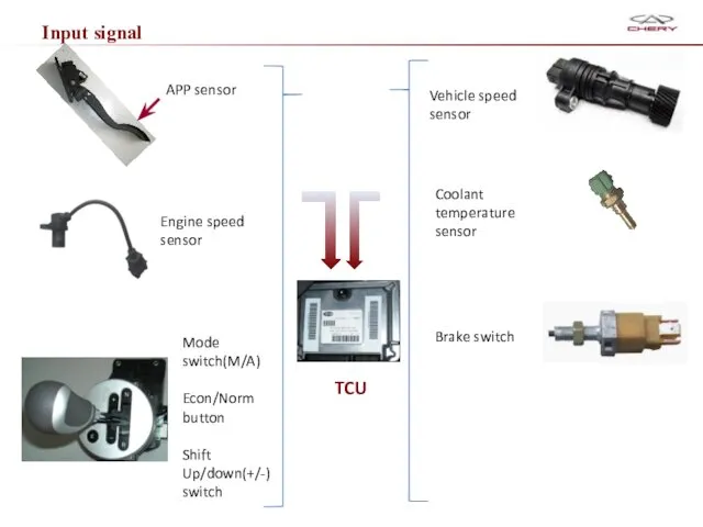 Input signal TCU APP sensor Brake switch Mode switch(M/A) Econ/Norm button