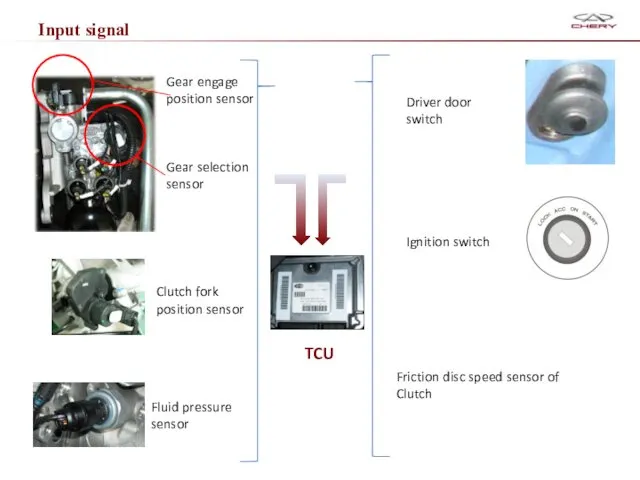 Input signal TCU Gear engage position sensor Gear selection sensor Clutch