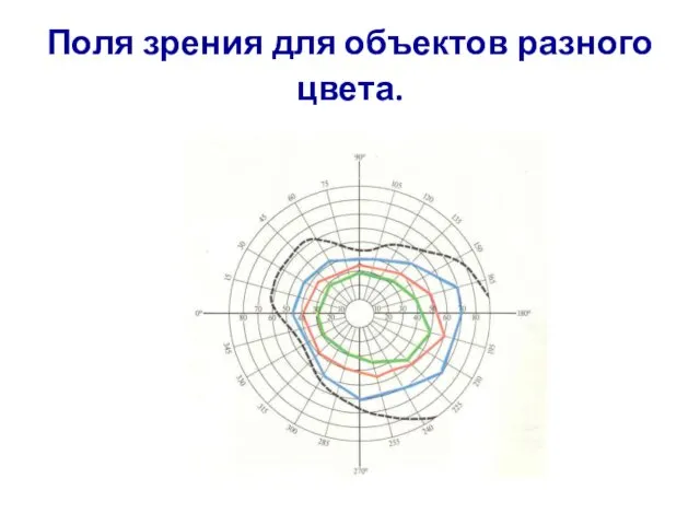 Поля зрения для объектов разного цвета.