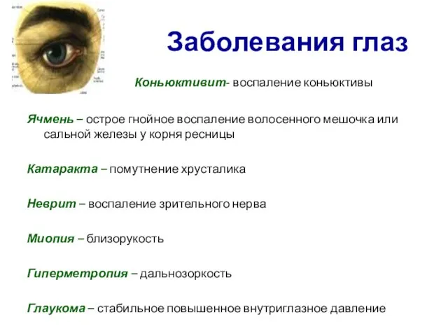 Заболевания глаз Коньюктивит- воспаление коньюктивы Ячмень – острое гнойное воспаление волосенного