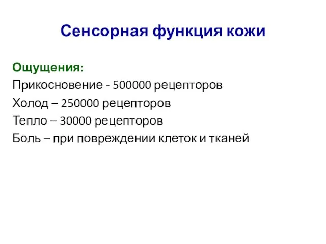 Сенсорная функция кожи Ощущения: Прикосновение - 500000 рецепторов Холод – 250000