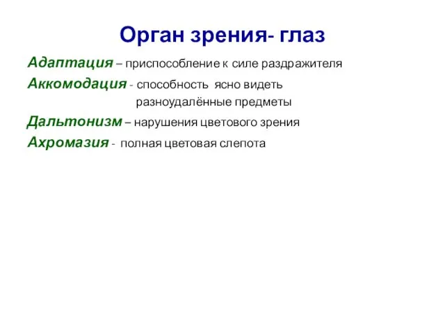 Орган зрения- глаз Адаптация – приспособление к силе раздражителя Аккомодация -