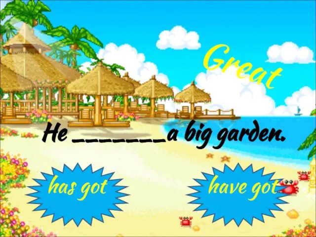He _______a big garden. has got have got Great