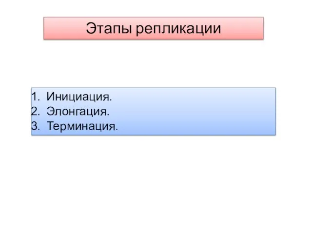 Этапы репликации Инициация. Элонгация. Терминация.