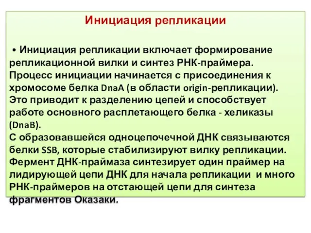 Инициация репликации • Инициация репликации включает формирование репликационной вилки и синтез