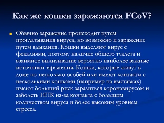 Как же кошки заражаются FCoV? Обычно заражение происходит путем проглатывания вируса,