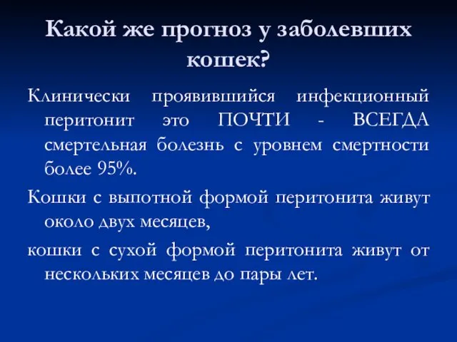 Какой же прогноз у заболевших кошек? Клинически проявившийся инфекционный перитонит это