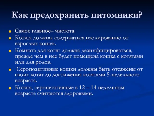 Как предохранить питомники? Самое главное– чистота. Котята должны содержаться изолированно от