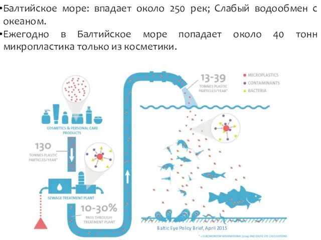 Балтийское море: впадает около 250 рек; Слабый водообмен с океаном. Ежегодно