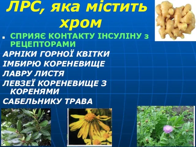 ЛРС, яка містить хром СПРИЯЄ КОНТАКТУ ІНСУЛІНУ з РЕЦЕПТОРАМИ АРНІКИ ГОРНОЇ