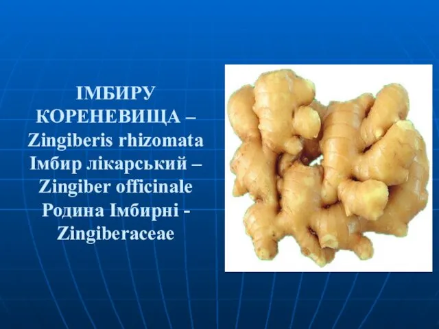 ІМБИРУ КОРЕНЕВИЩА – Zingiberis rhizomata Імбир лікарський – Zingiber officinale Родина Імбирні - Zingiberaceae