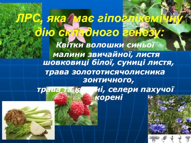 ЛРС, яка має гіпоглікемічну дію складного генезу: Квітки волошки синьої малини