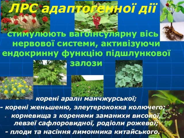 ЛРС адаптогенної дії стимулюють вагоінсулярну вісь нервової системи, активізуючи ендокринну функцію