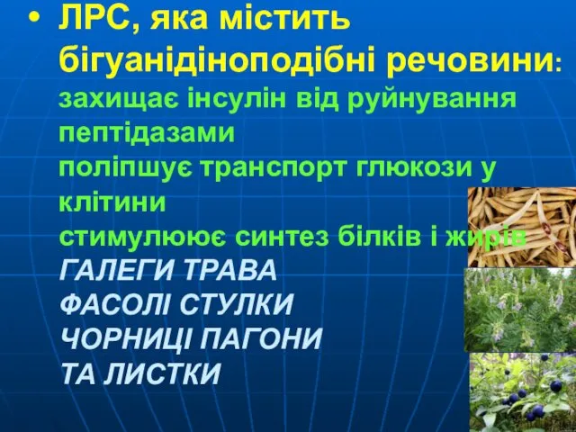 ЛРС, яка містить бігуанідіноподібні речовини: захищає інсулін від руйнування пептідазами поліпшує