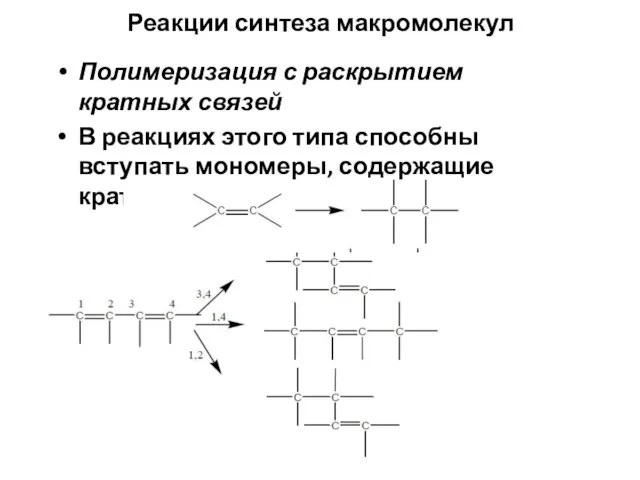 Реакции синтеза макромолекул Полимеризация с раскрытием кратных связей В реакциях этого