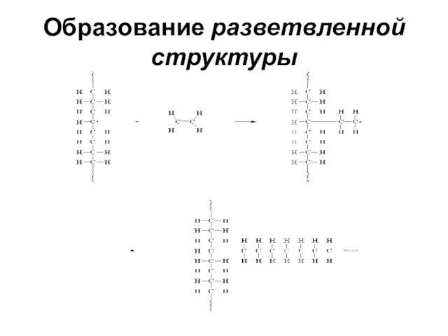 Образование разветвленной структуры