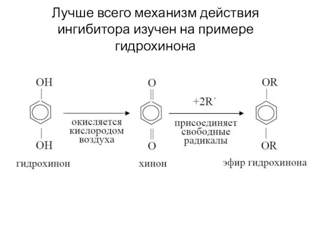 Лучше всего механизм действия ингибитора изучен на примере гидрохинона