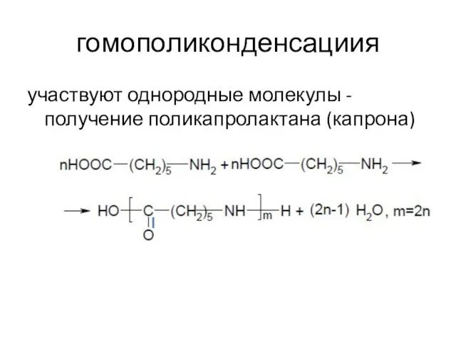 гомополиконденсациия участвуют однородные молекулы - получение поликапролактана (капрона)