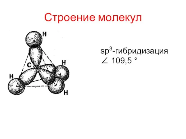 Строение молекул sp3-гибридизация ∠ 109,5 °