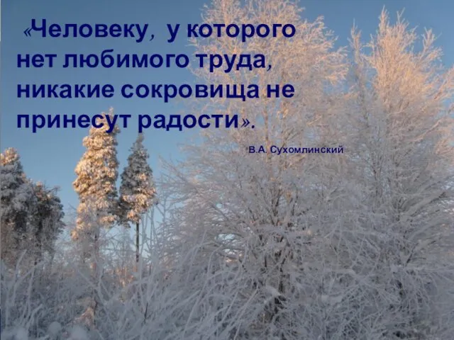 «Человеку, у которого нет любимого труда, никакие сокровища не принесут радости». В.А. Сухомлинский