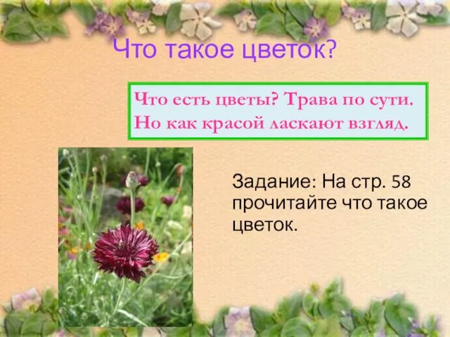 Задание: На стр. 58 прочитайте что такое цветок. Что такое цветок?