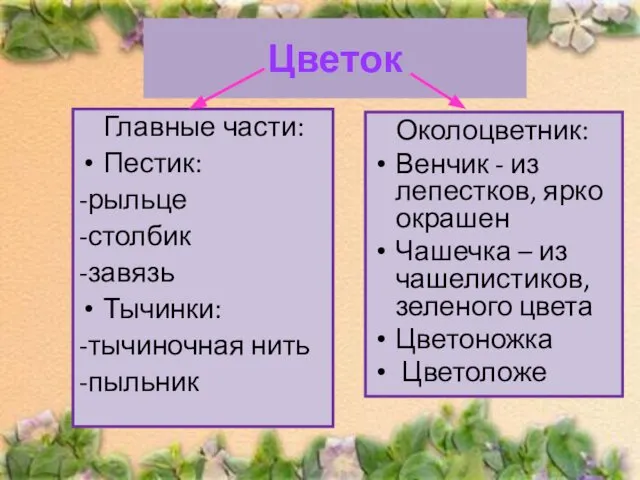 Цветок Главные части: Пестик: -рыльце -столбик -завязь Тычинки: -тычиночная нить -пыльник