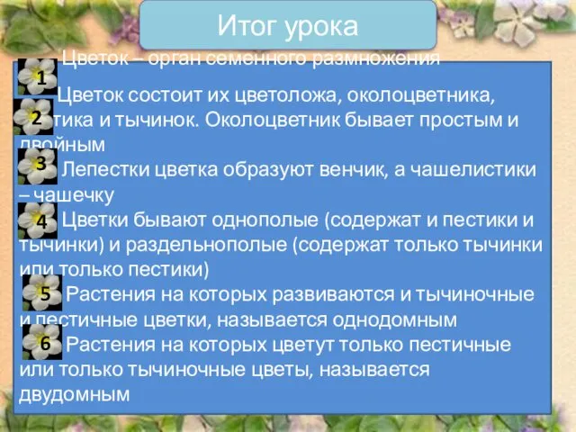 Цветок – орган семенного размножения Цветок состоит их цветоложа, околоцветника, пестика