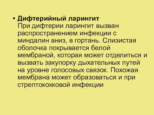 Дифтерийный ларингит При дифтерии ларингит вызван распространением инфекции с миндалин вниз,