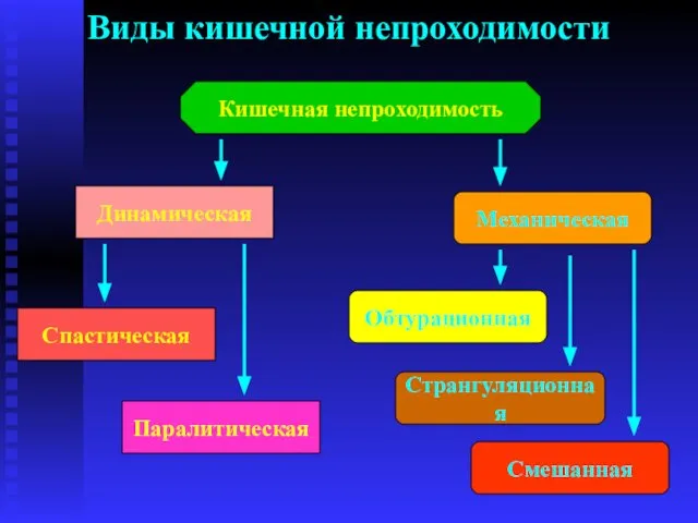 Виды кишечной непроходимости Динамическая Паралитическая Спастическая Механическая Обтурационная Странгуляционная Смешанная Кишечная непроходимость