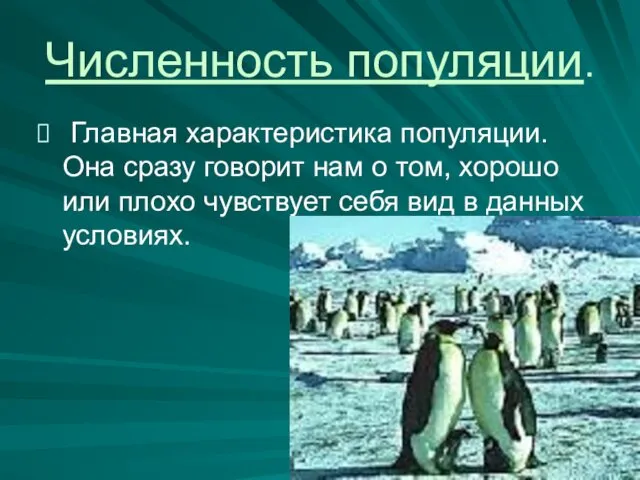 Численность популяции. Главная характеристика популяции. Она сразу говорит нам о том,