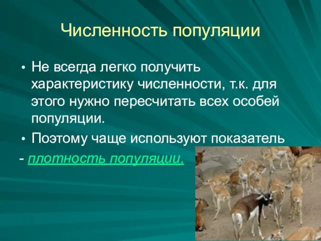 Численность популяции Не всегда легко получить характеристику численности, т.к. для этого