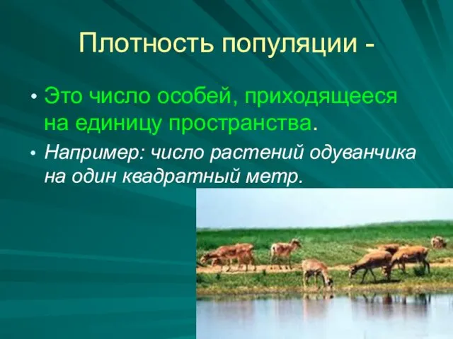 Плотность популяции - Это число особей, приходящееся на единицу пространства. Например: