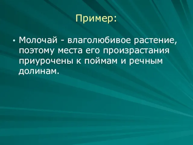 Пример: Молочай - влаголюбивое растение, поэтому места его произрастания приурочены к поймам и речным долинам.