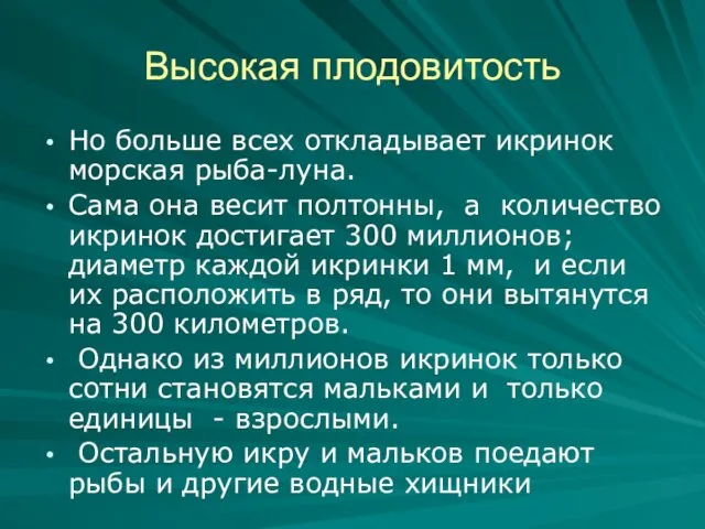 Высокая плодовитость Но больше всех откладывает икринок морская рыба-луна. Сама она