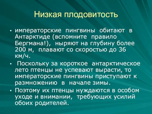 Низкая плодовитость императорские пингвины обитают в Антарктиде (вспомните правило Бергмана!), ныряют