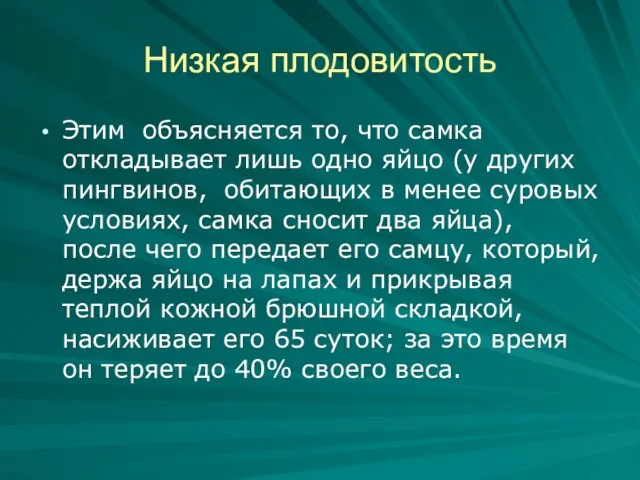 Низкая плодовитость Этим объясняется то, что самка откладывает лишь одно яйцо