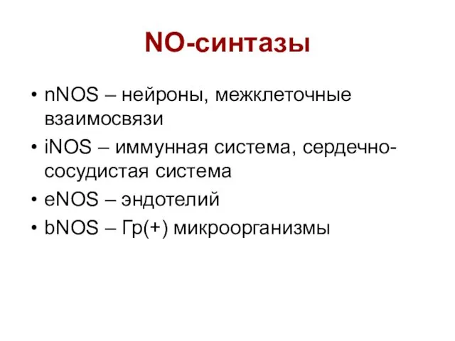 NO-синтазы nNOS – нейроны, межклеточные взаимосвязи iNOS – иммунная система, сердечно-сосудистая