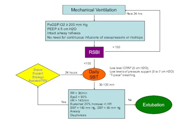 Low level CPAP (5 cm H2O), Low levels of pressure support