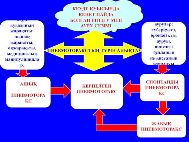 КЕУДЕ ҚУЫСЫНДА КЕНЕТ ПАЙДА БОЛҒАН ЕНТІГУ МЕН АУРУ СЕЗІМІ Кеуде қуысының