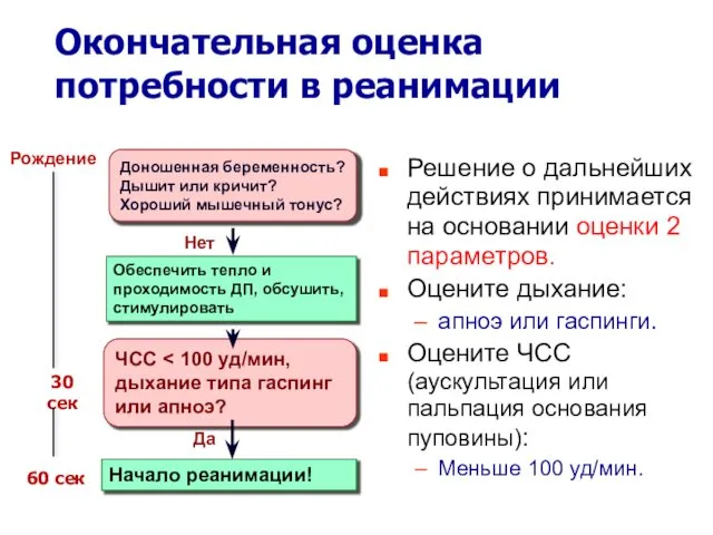 Окончательная оценка потребности в реанимации Решение о дальнейших действиях принимается на